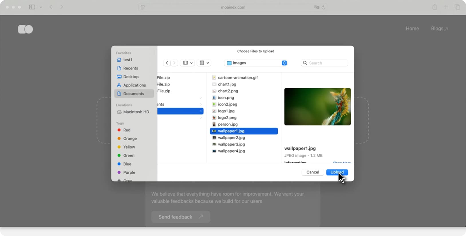 Choose JPG file from macOS file manager